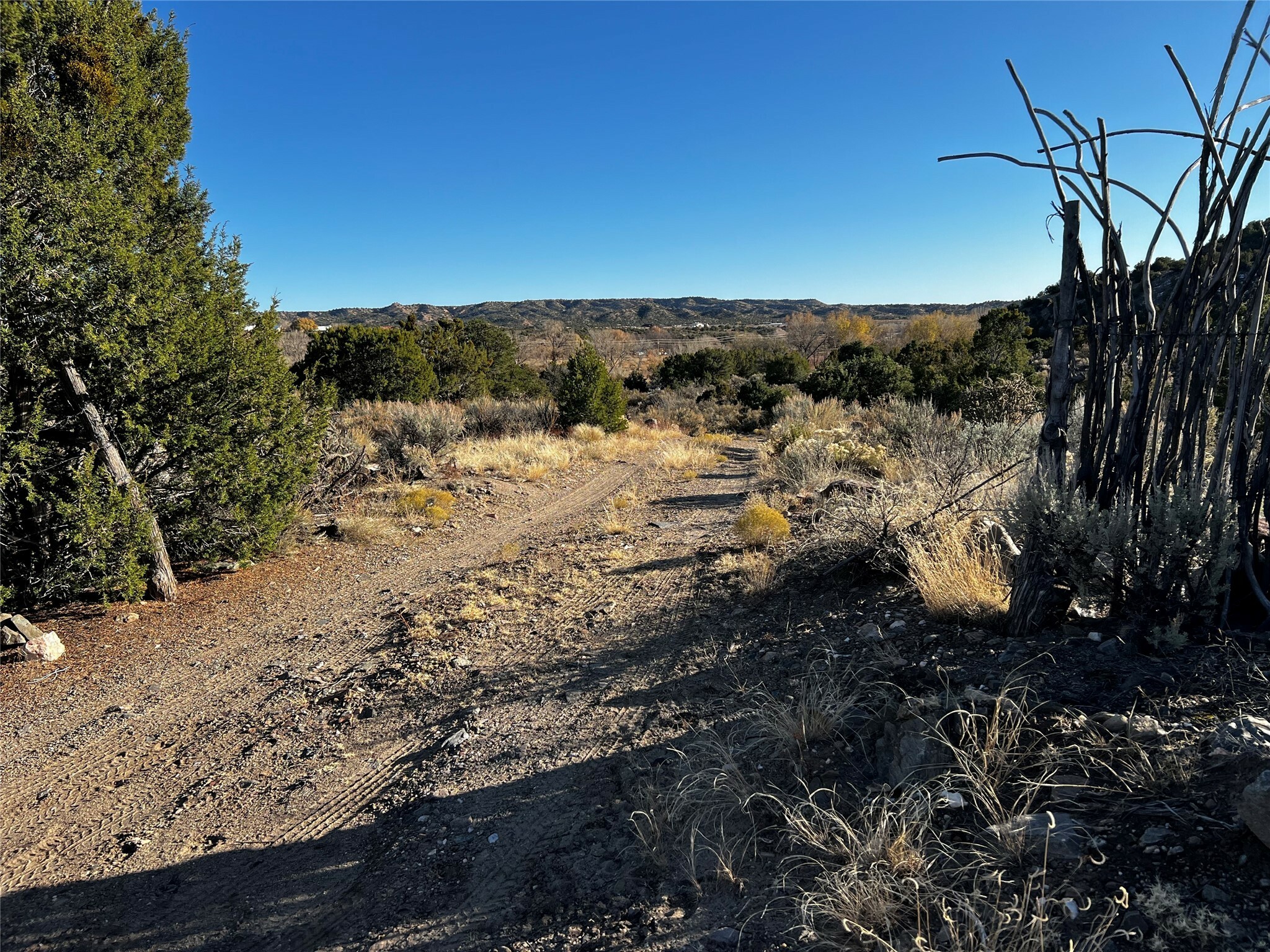 Property Photo:  087 Hwy 111  NM 87549 