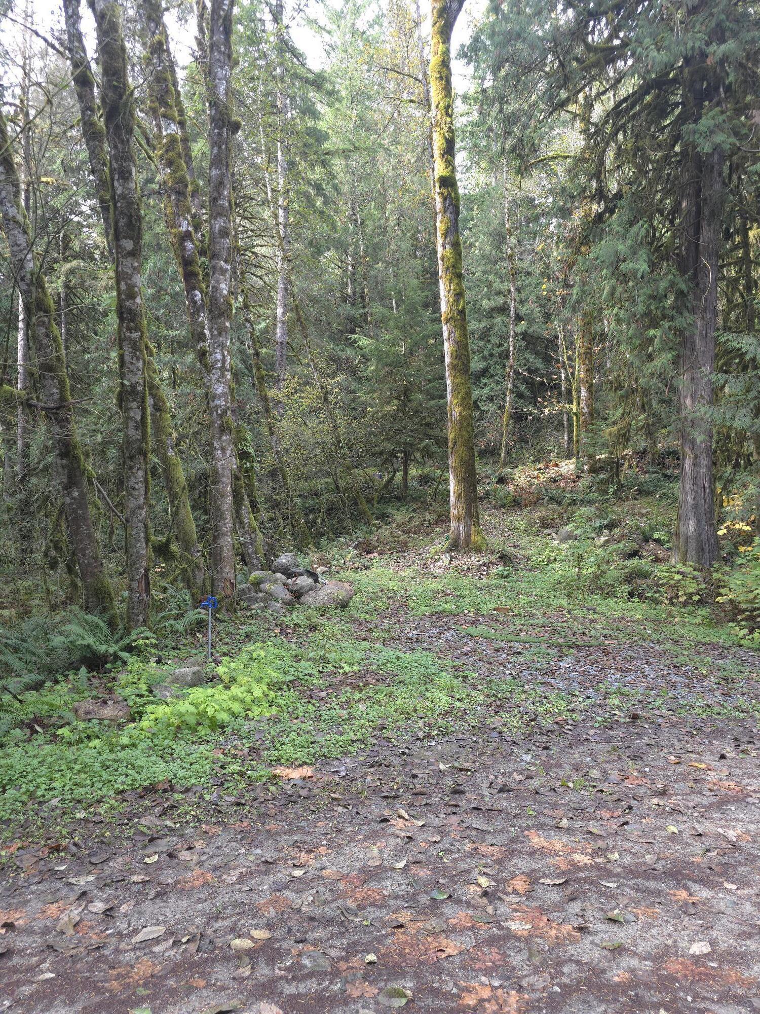 Property Photo:  63884 E Cascade Way  WA OTHER 