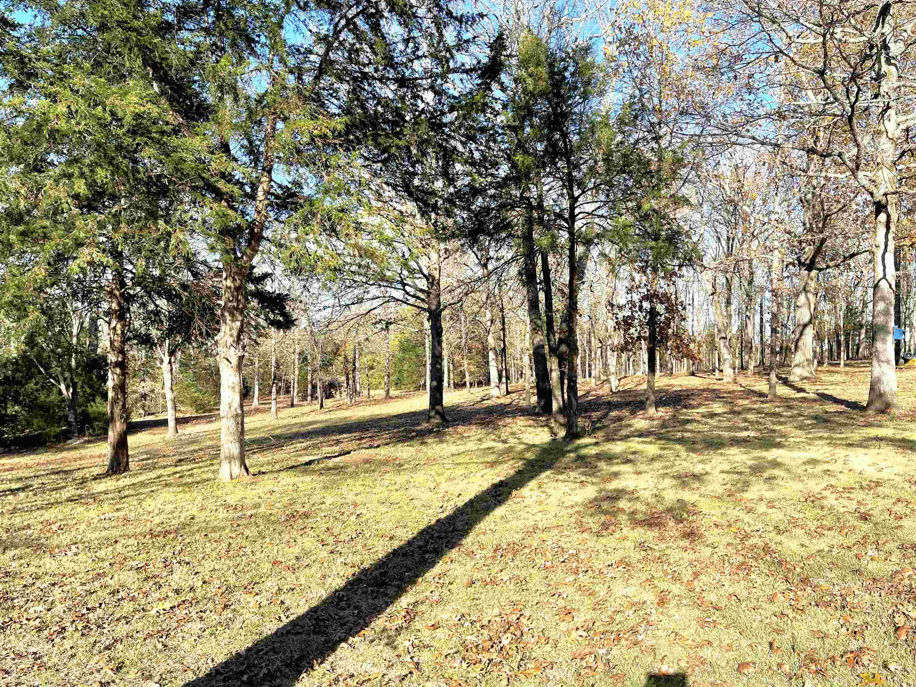 Property Photo:  1336 Lawrence Road 106  AR 72459 