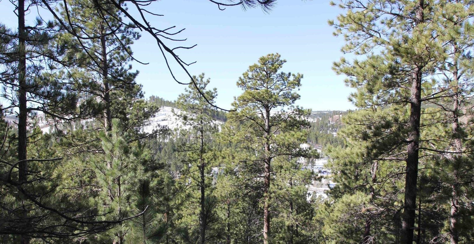 Property Photo:  Lot 7 Elk View Loop  SD 57785 