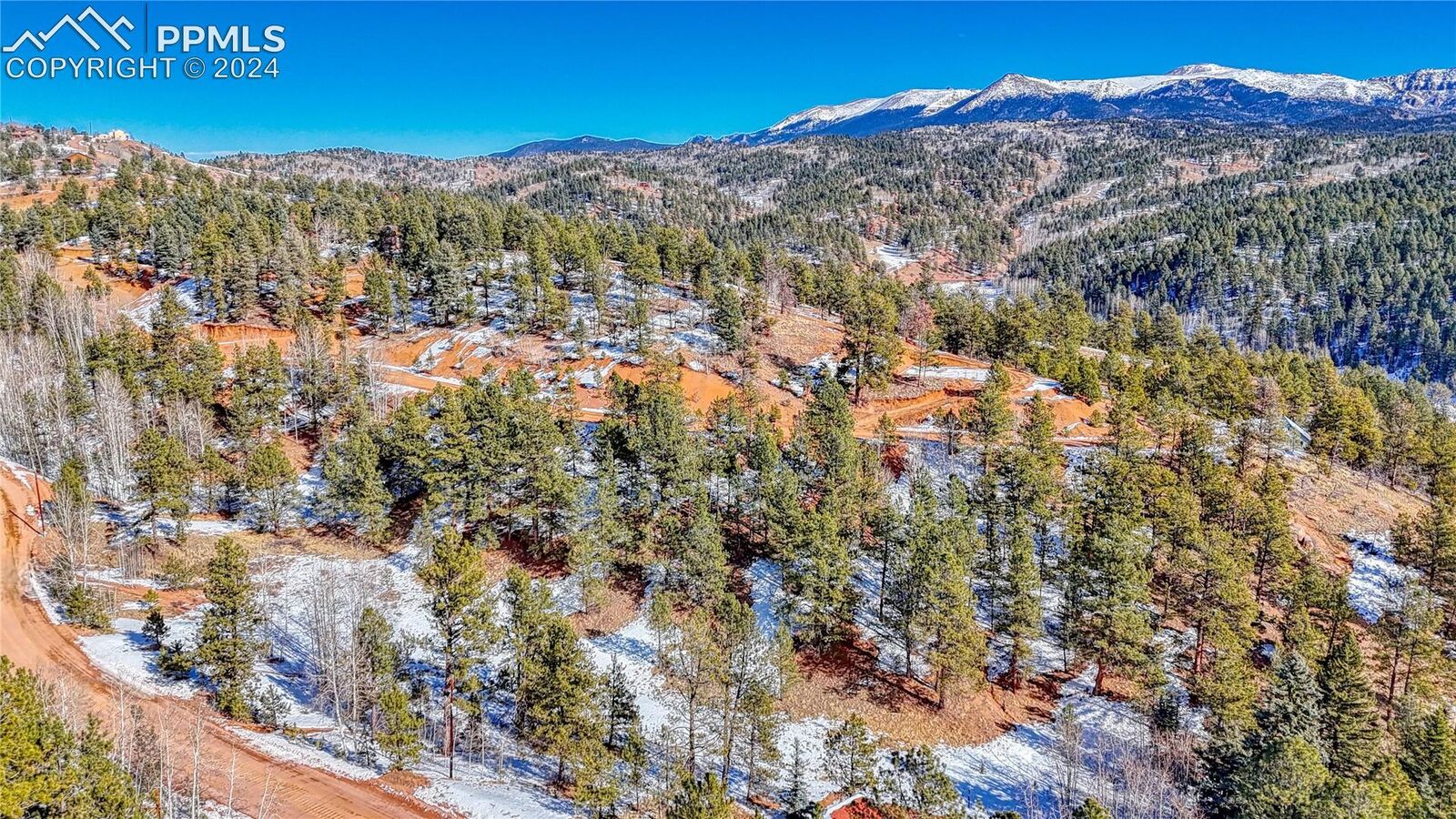 Property Photo:  434 Dandy Jim Drive  CO 80813 