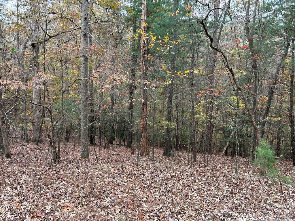 Property Photo:  Lot 164, Foxhound Drive  GA 30540 