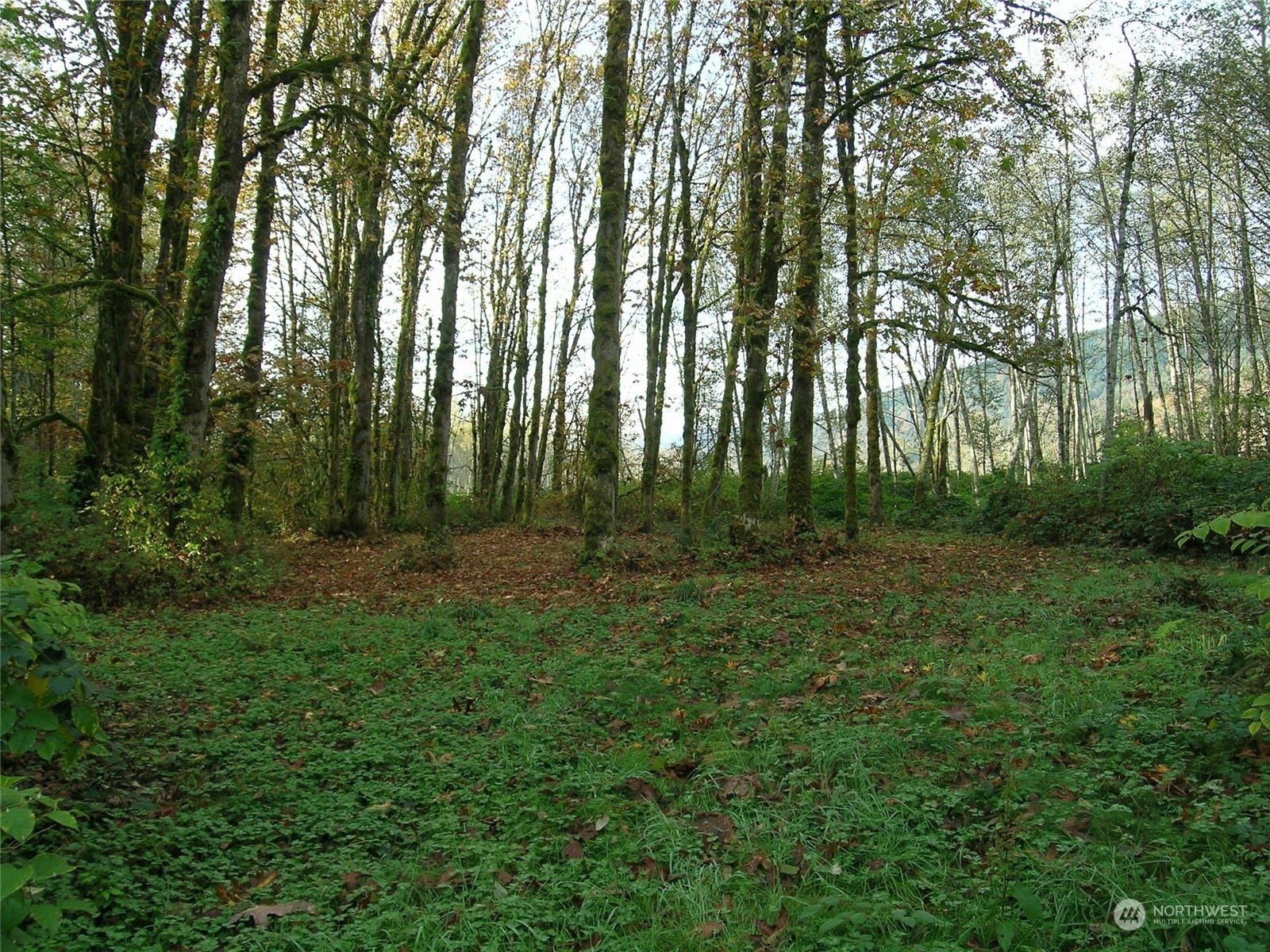 Property Photo:  5973 North Fork Road  WA 98244 