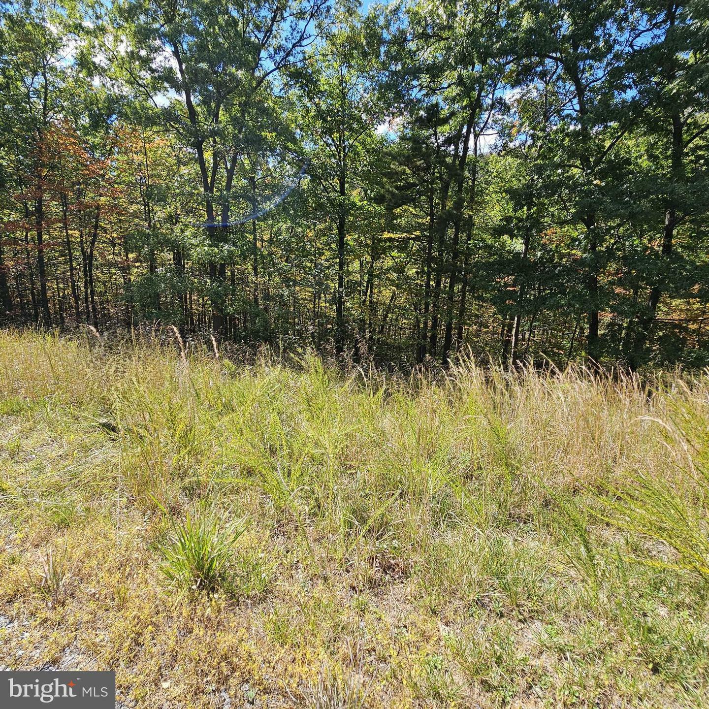 Property Photo:  Moundbuilder Loop  WV 25427 