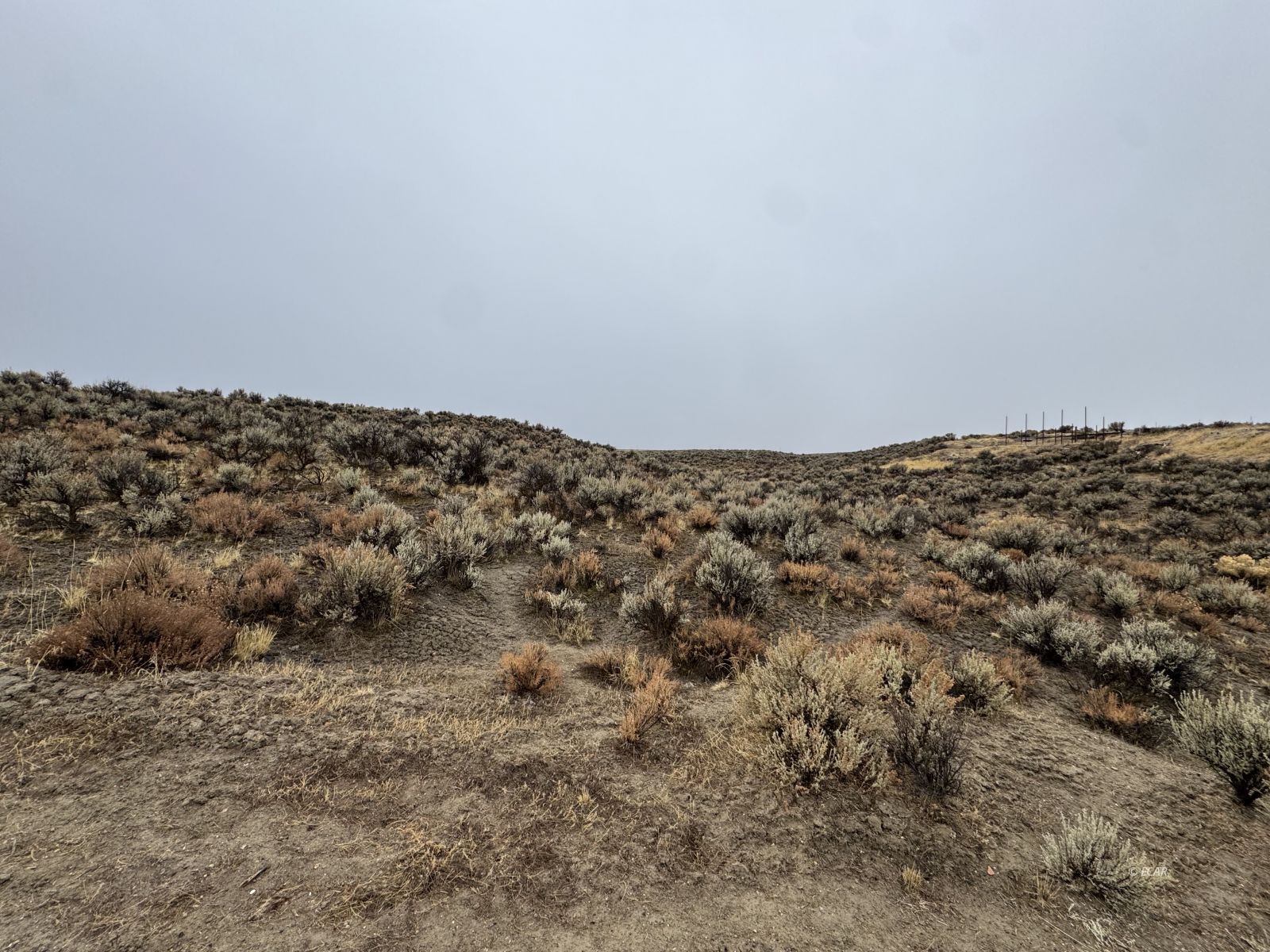 Property Photo: Rattlesnake Street NV 89801