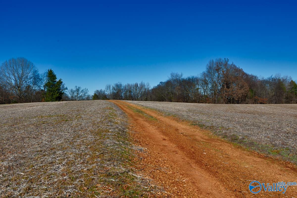 Property Photo:  271+/- Acres Joe Quick Road  AL 35750 