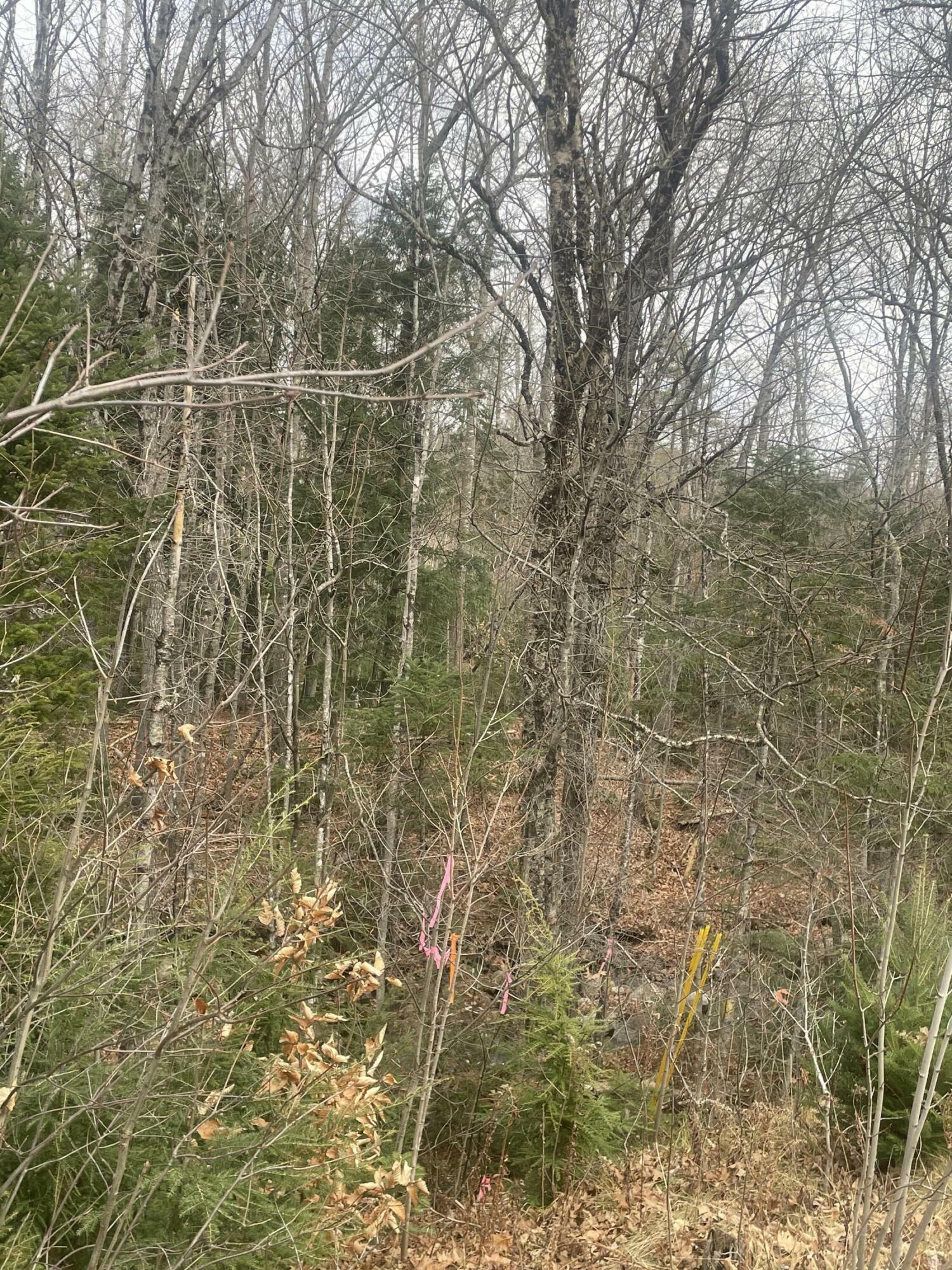 Property Photo:  Lot 22 Roxbury Notch Road Road  ME 04275 