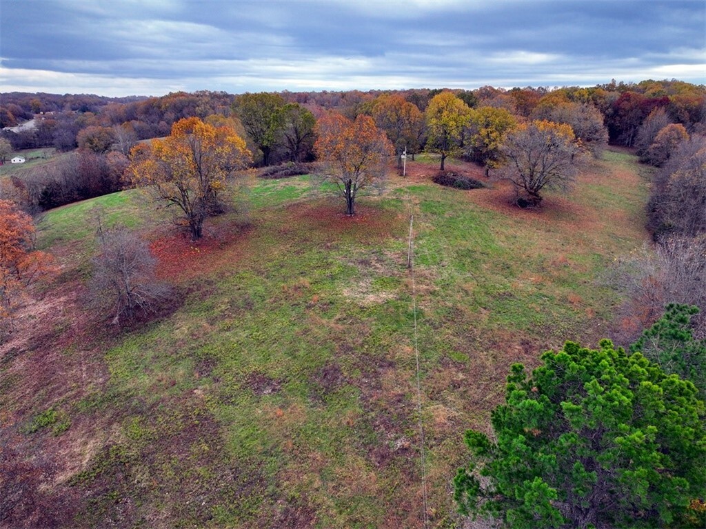 Property Photo:  Lot 4 Tye Road  AR 72601 