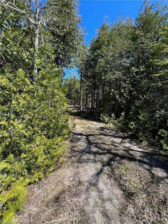 Lot 32  Highway 6  South Bruce Peninsula ON N0H 2T0 photo