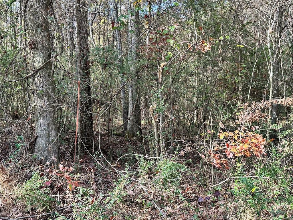 Property Photo:  0 Satcher Road  GA 30178 