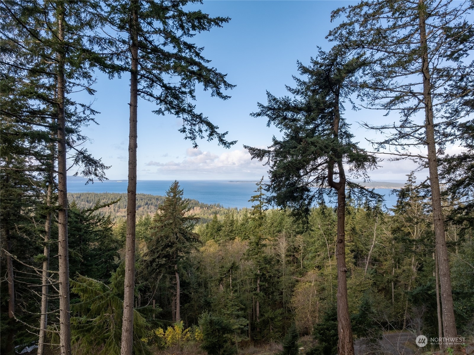 Property Photo:  540 Wright Road  WA 98245 