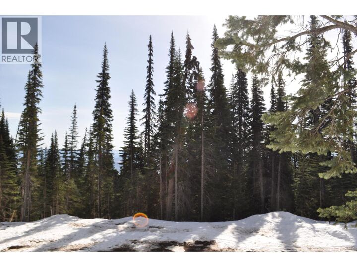 Property Photo:  St Lt 7 Alpine Way Pt.  BC V0J 2N0 