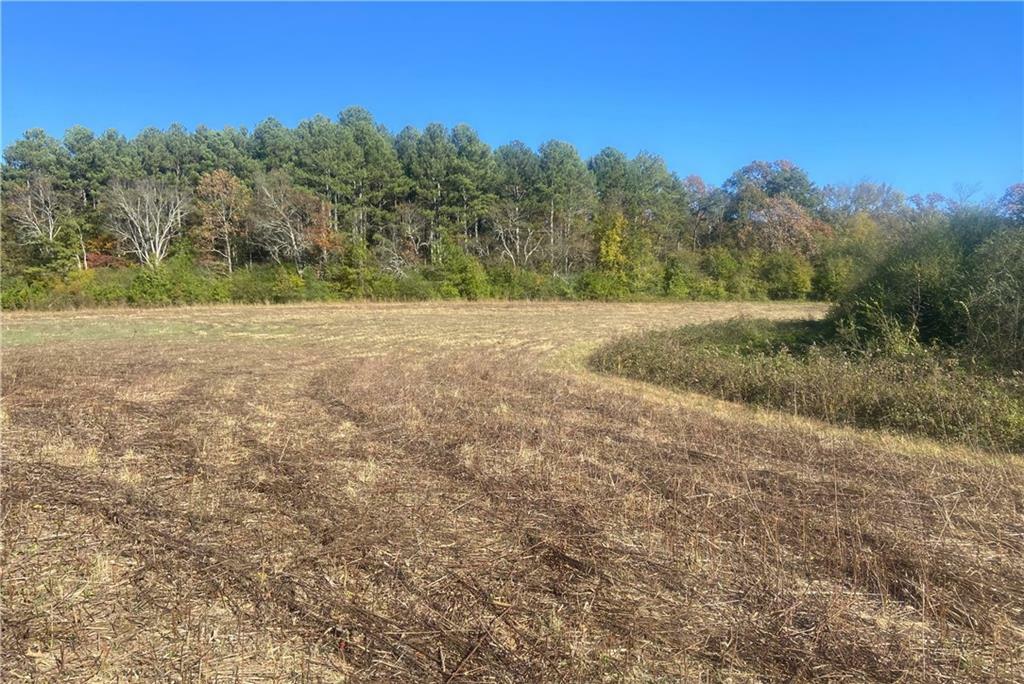 Property Photo: 07 Lovebridge Rd GA 30701
