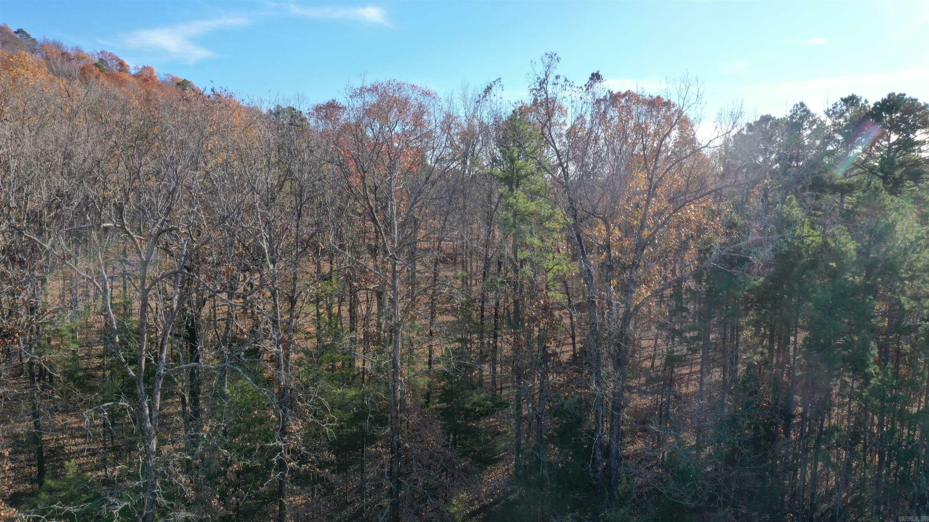 Property Photo:  Lot 3 Old Military Rd.  AR 72034 