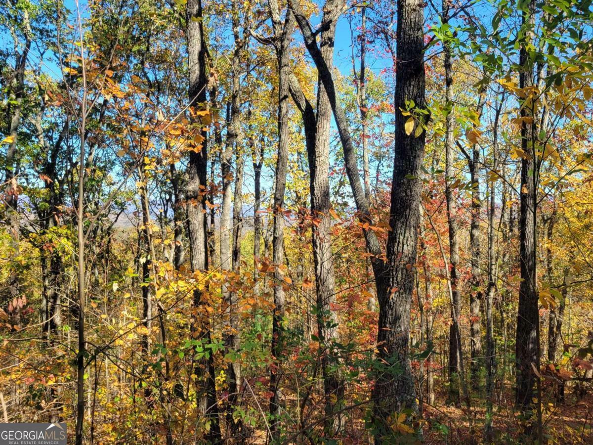 Property Photo:  8 Ac Old Burnt Mountain  GA 30540 