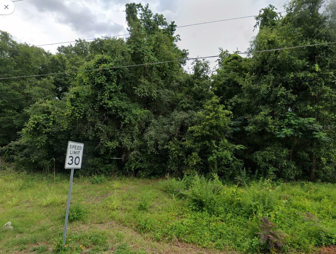 Property Photo:  0 4th Street NW  FL 34482 