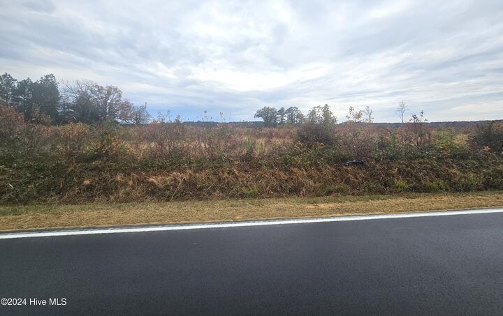 Tbd Lasker Golf Course Road  Woodland NC 27897 photo