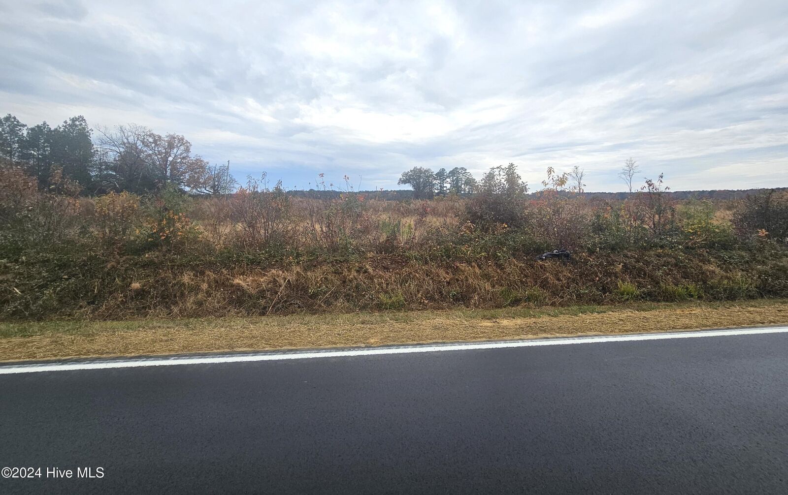 Property Photo: Tbd Lasker Golf Course Road NC 27897