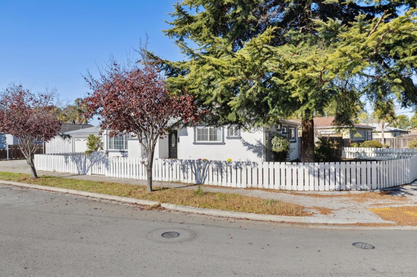 Property Photo:  35790 Haley Street  CA 94560 
