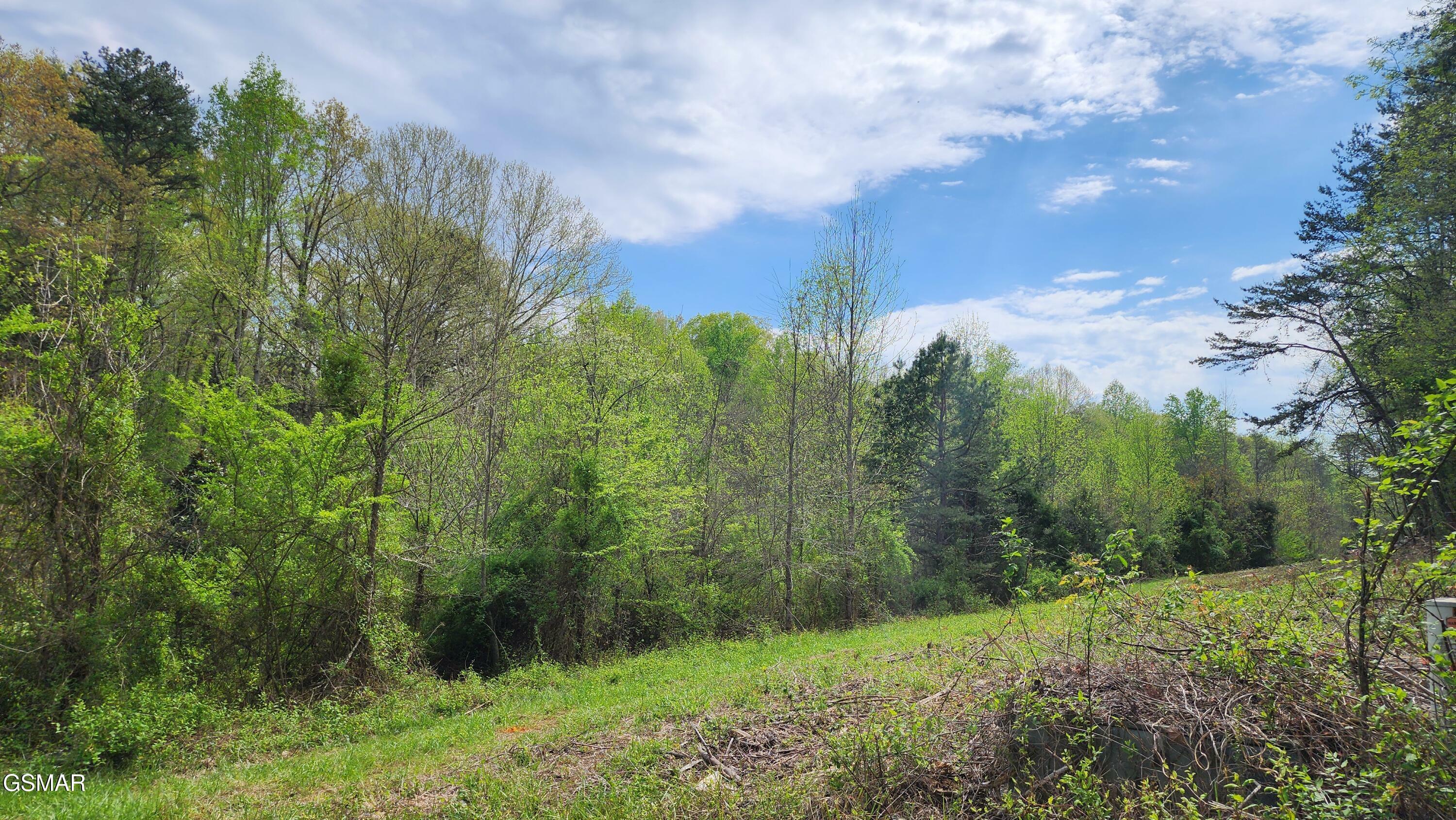 Property Photo:  Lot 36 English Fields Dr,  TN 37821 