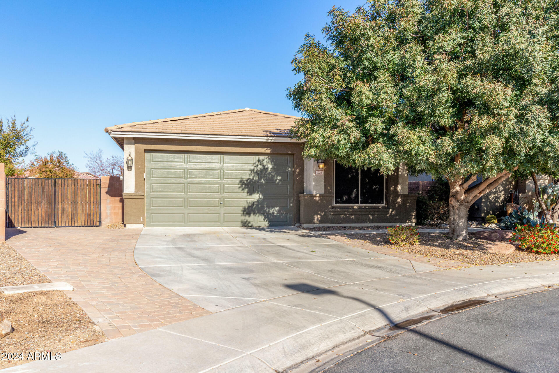 Property Photo:  1026 W Dove Tree Avenue  AZ 85140 