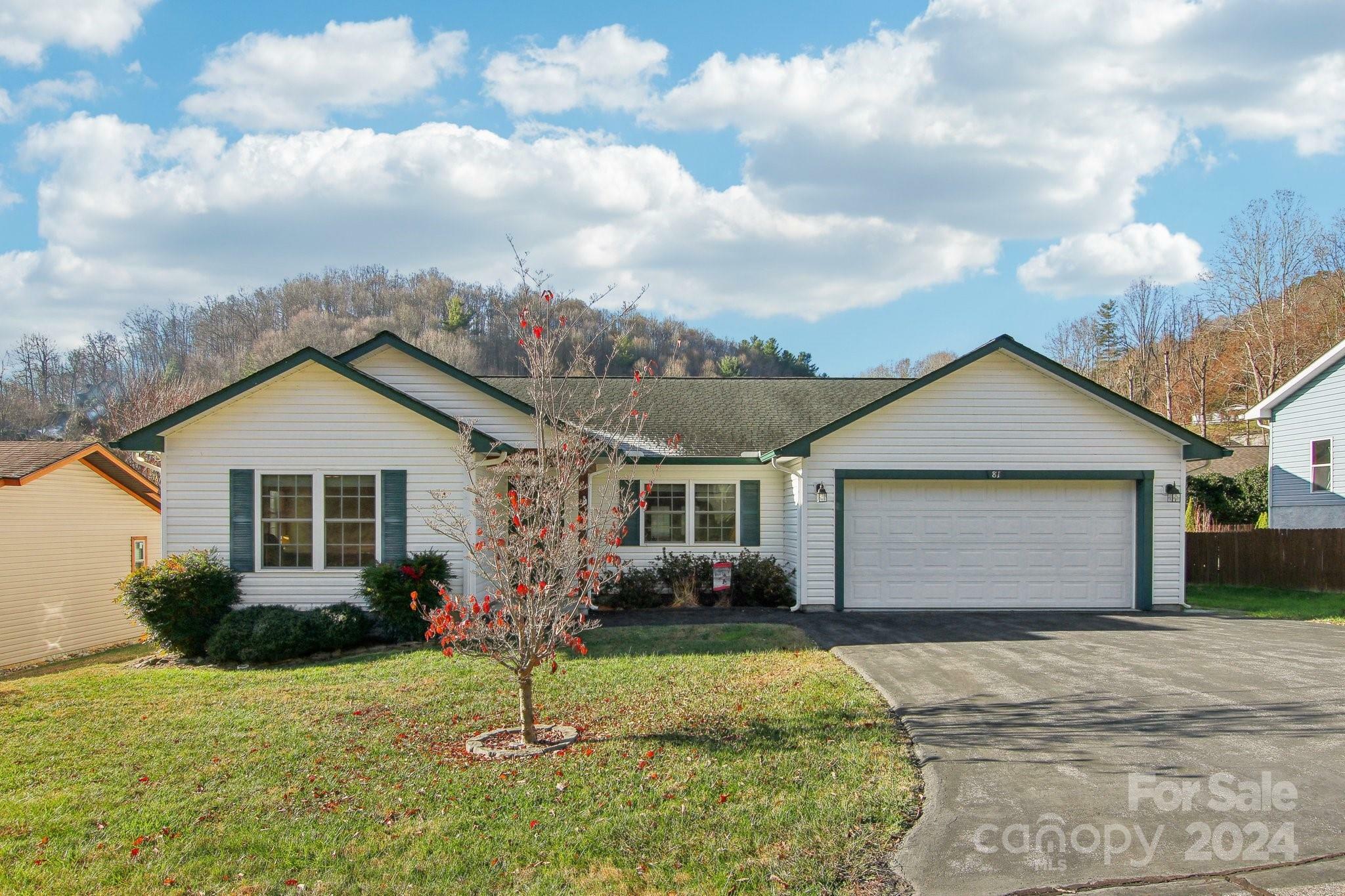 81 Pasco Loop  Waynesville NC 28785 photo