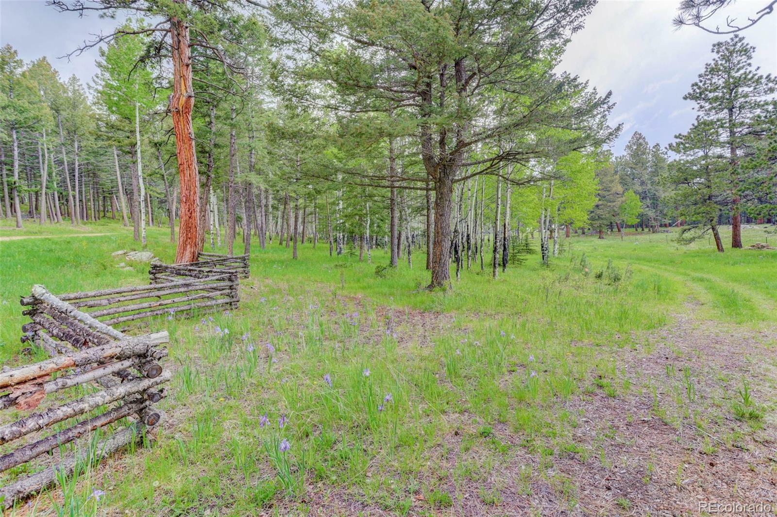 Property Photo: 0000 S Elk Ridge CO 80439
