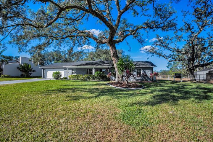 Property Photo: 11409 Donneymoor Drive FL 33569