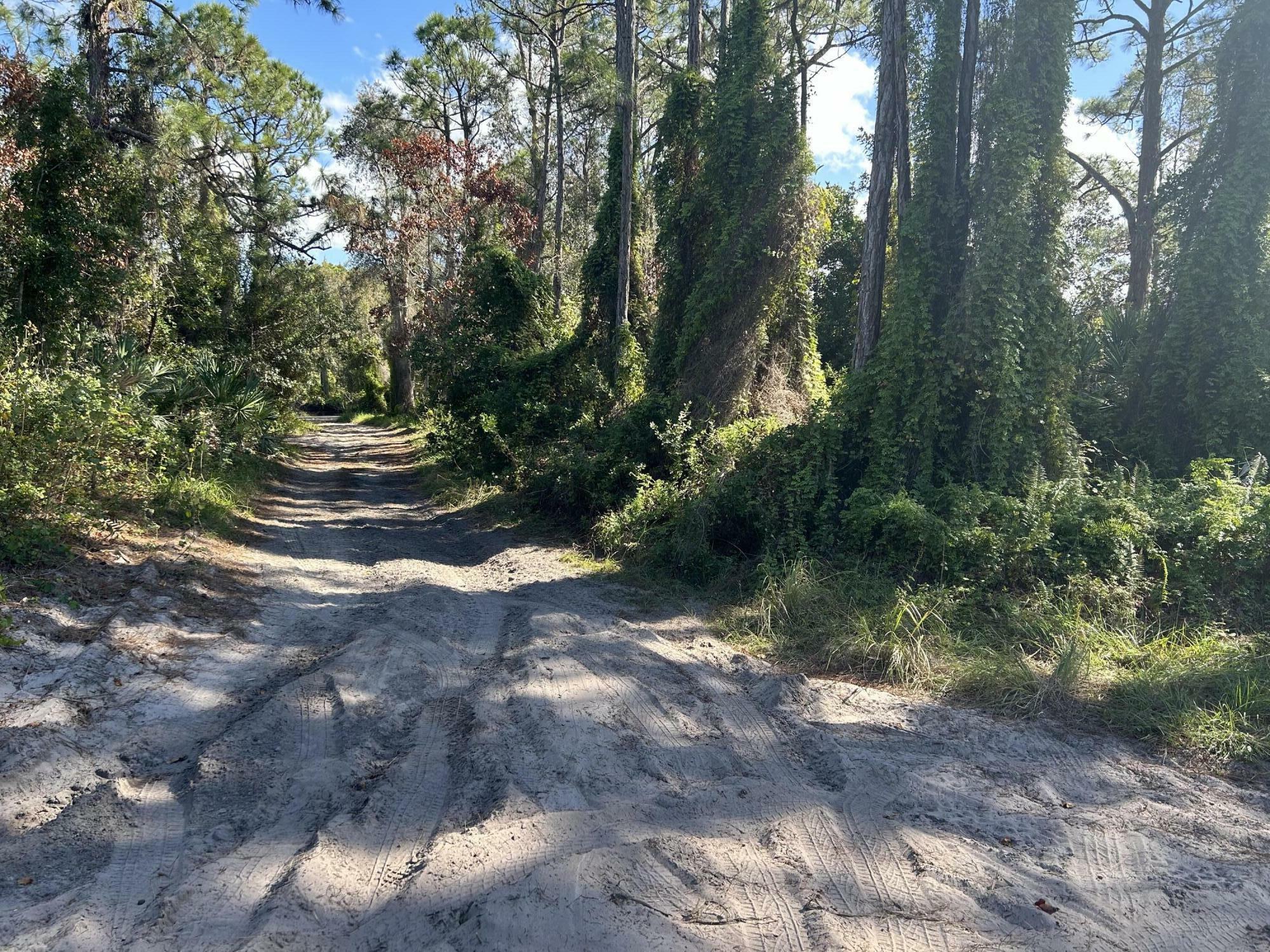 Property Photo:  0 Slash Pine Trail  FL 34945 