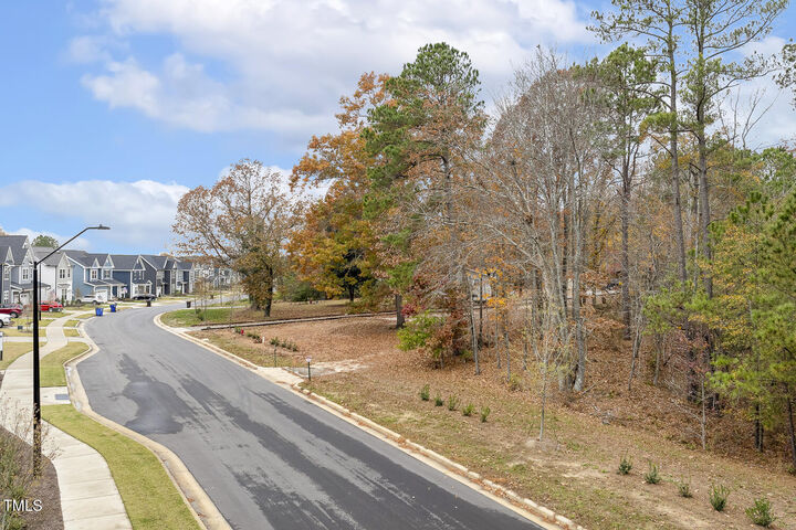 Property Photo: 0 Sneed Lane NC 27526