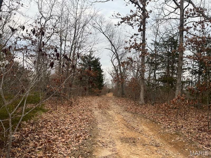 Property Photo: 0 125.87ac Tract A-2 Clear Creek Road MO 63071