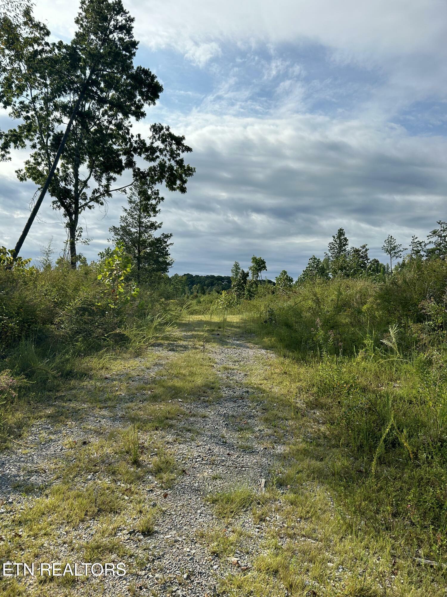 Property Photo:  Maple Grove Rd  TN 37880 