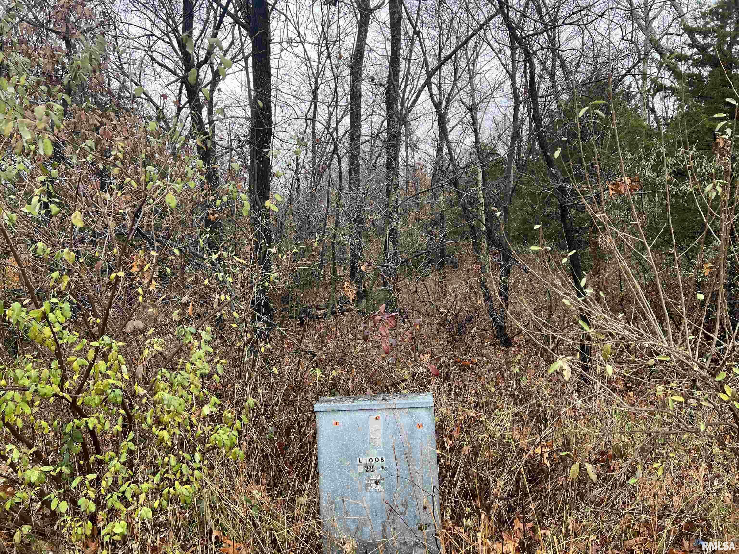 Property Photo: 2975 Eagle Point Bay Road IL 62939