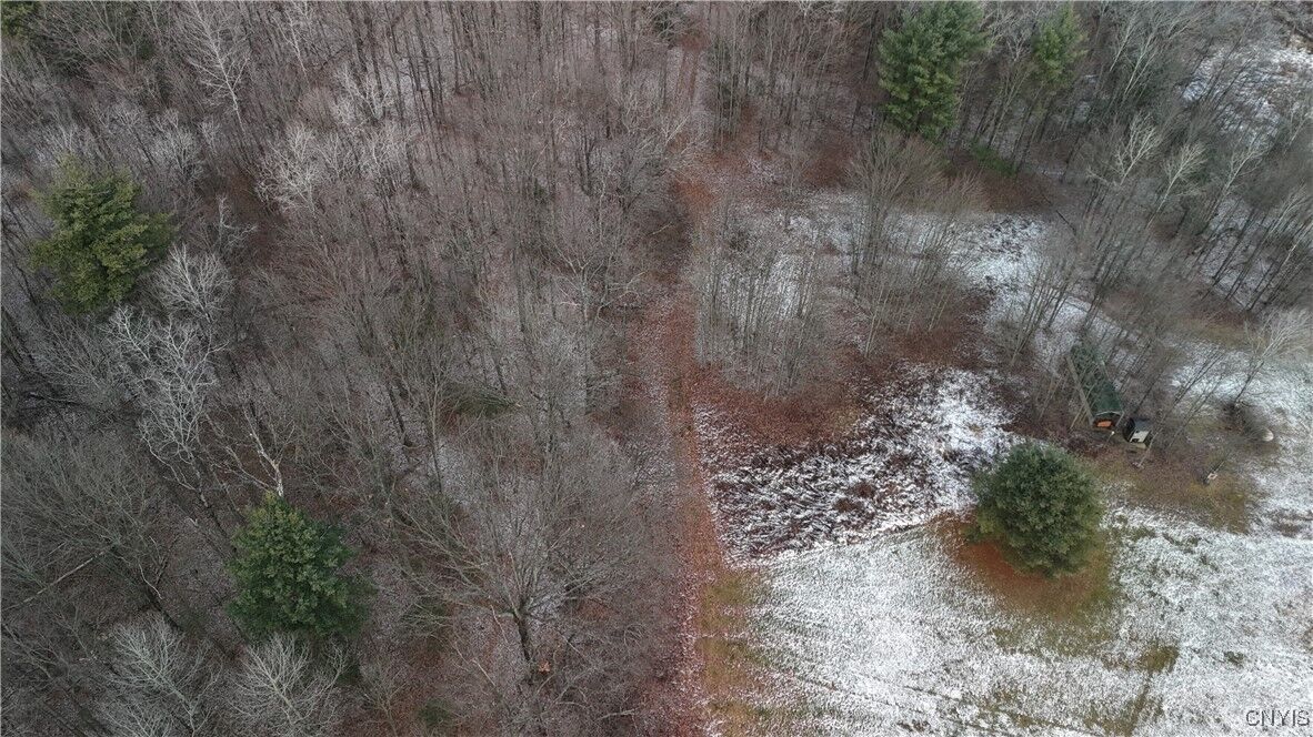 Property Photo:  0 Lot B W Dryden Road  NY 13068 