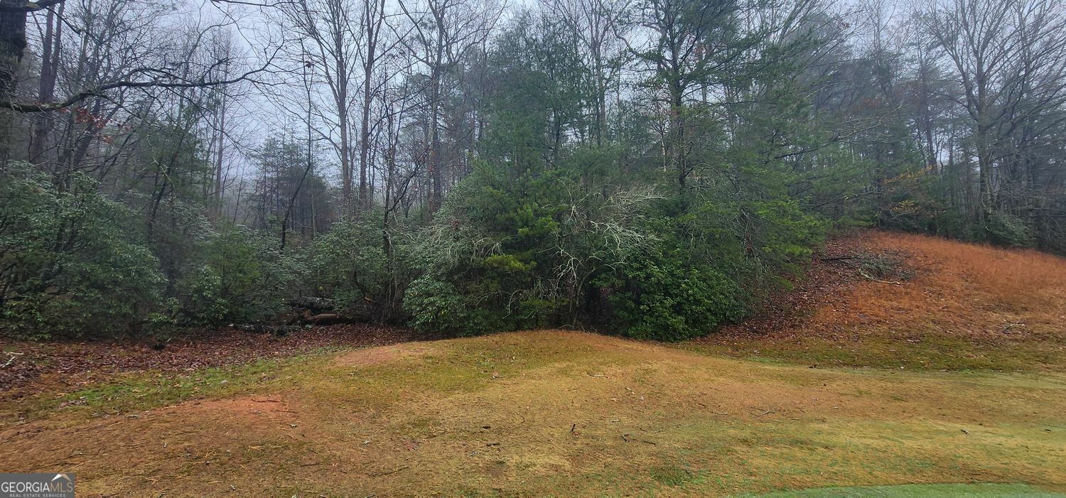 Lot 97 Zeppelin Strasse  Helen GA 30545 photo