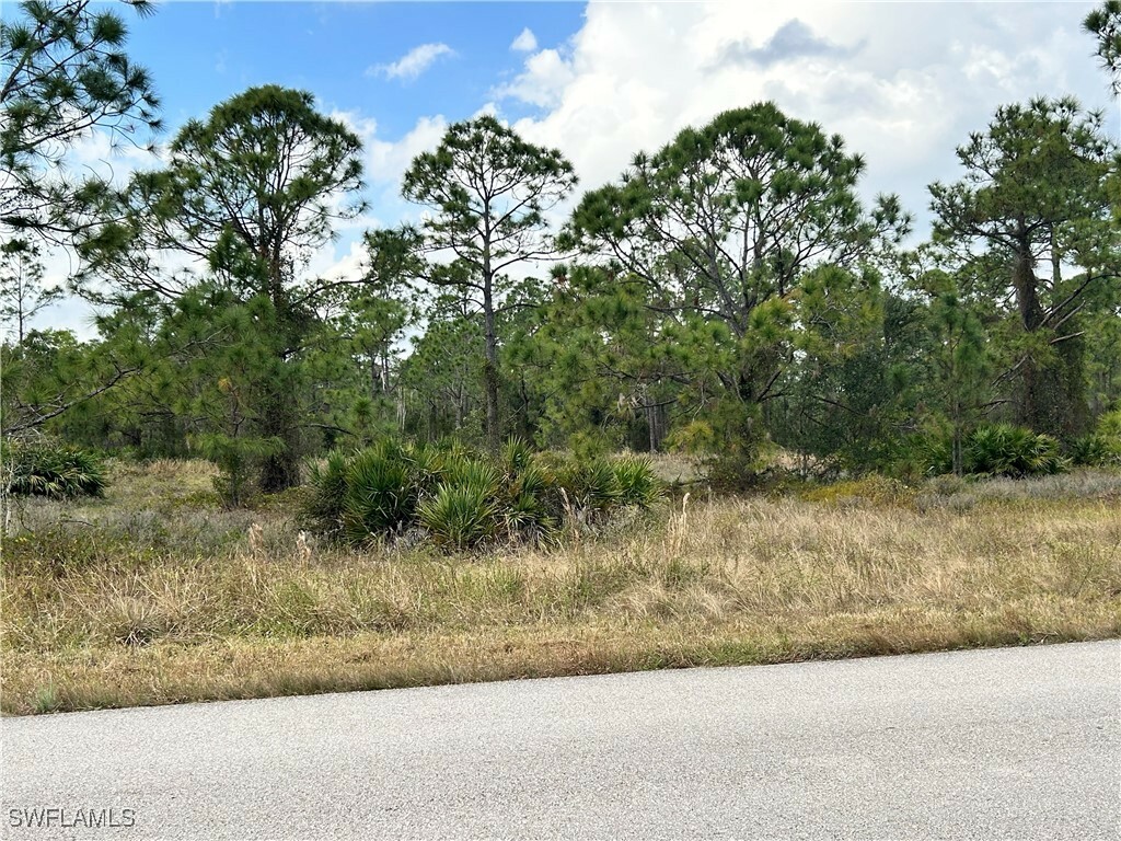 Property Photo:  765 Aletha Avenue S  FL 33974 