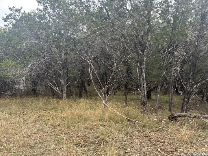 Property Photo:  Lots 1-3 Indian Trail  TX 78063 