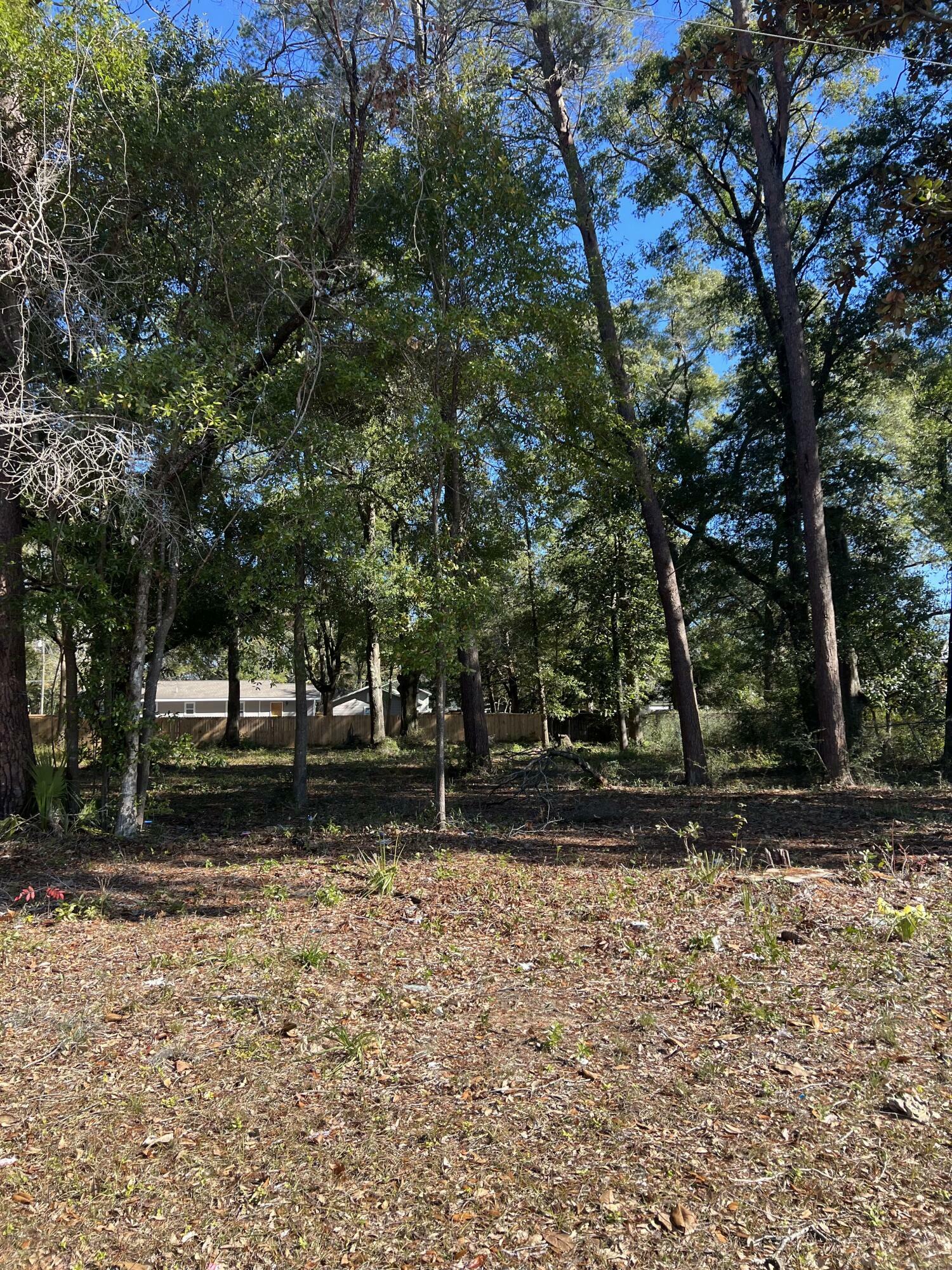 Property Photo:  Lots 1,2,3 W Juniper Avenue  FL 32536 