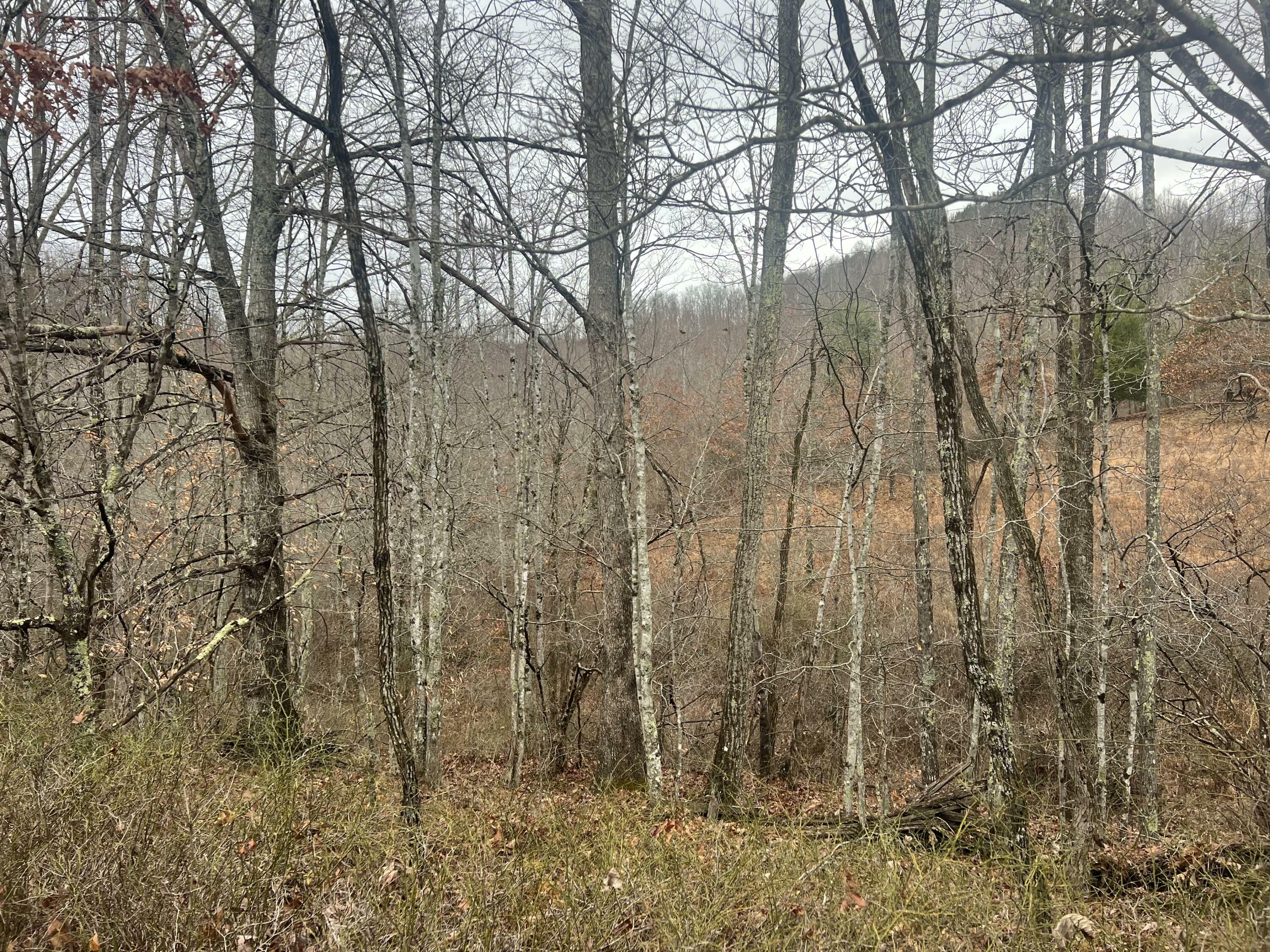 Property Photo:  High Meadows Lane  WV 24910 