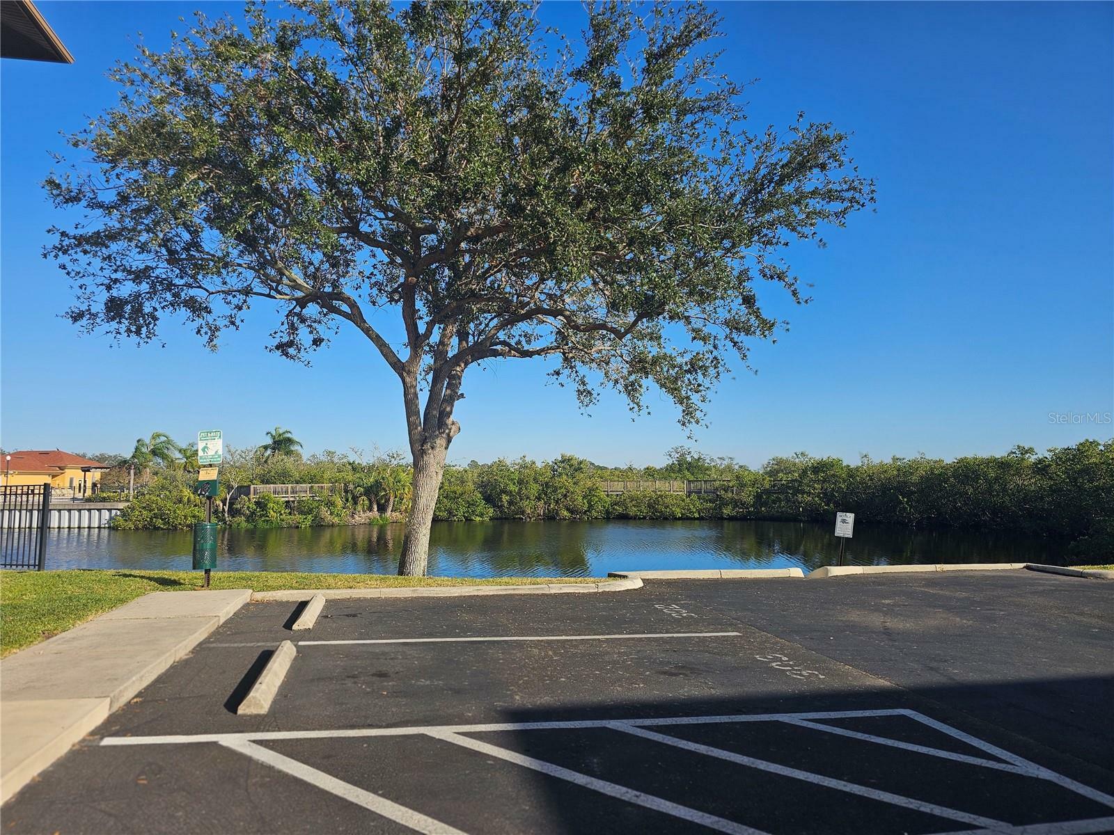 Property Photo:  4333 Bayside Village Drive 125  FL 33615 