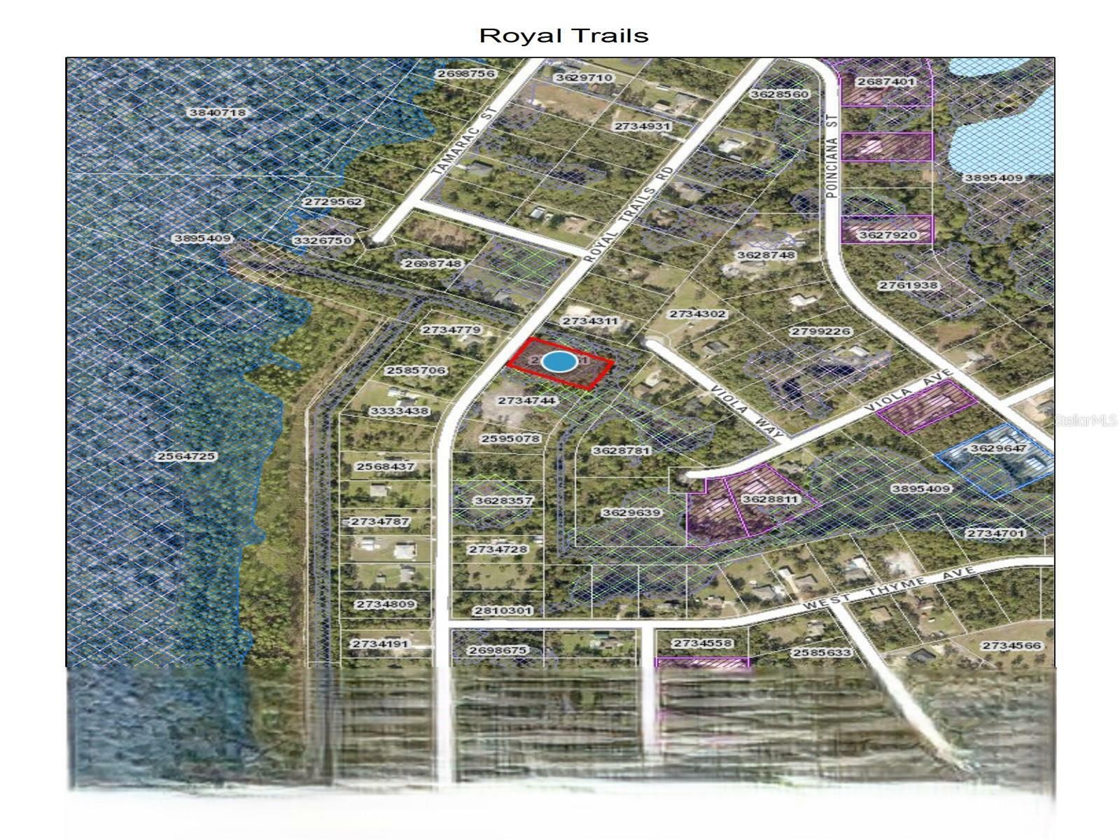 Property Photo: Royal Trails Road FL 32736