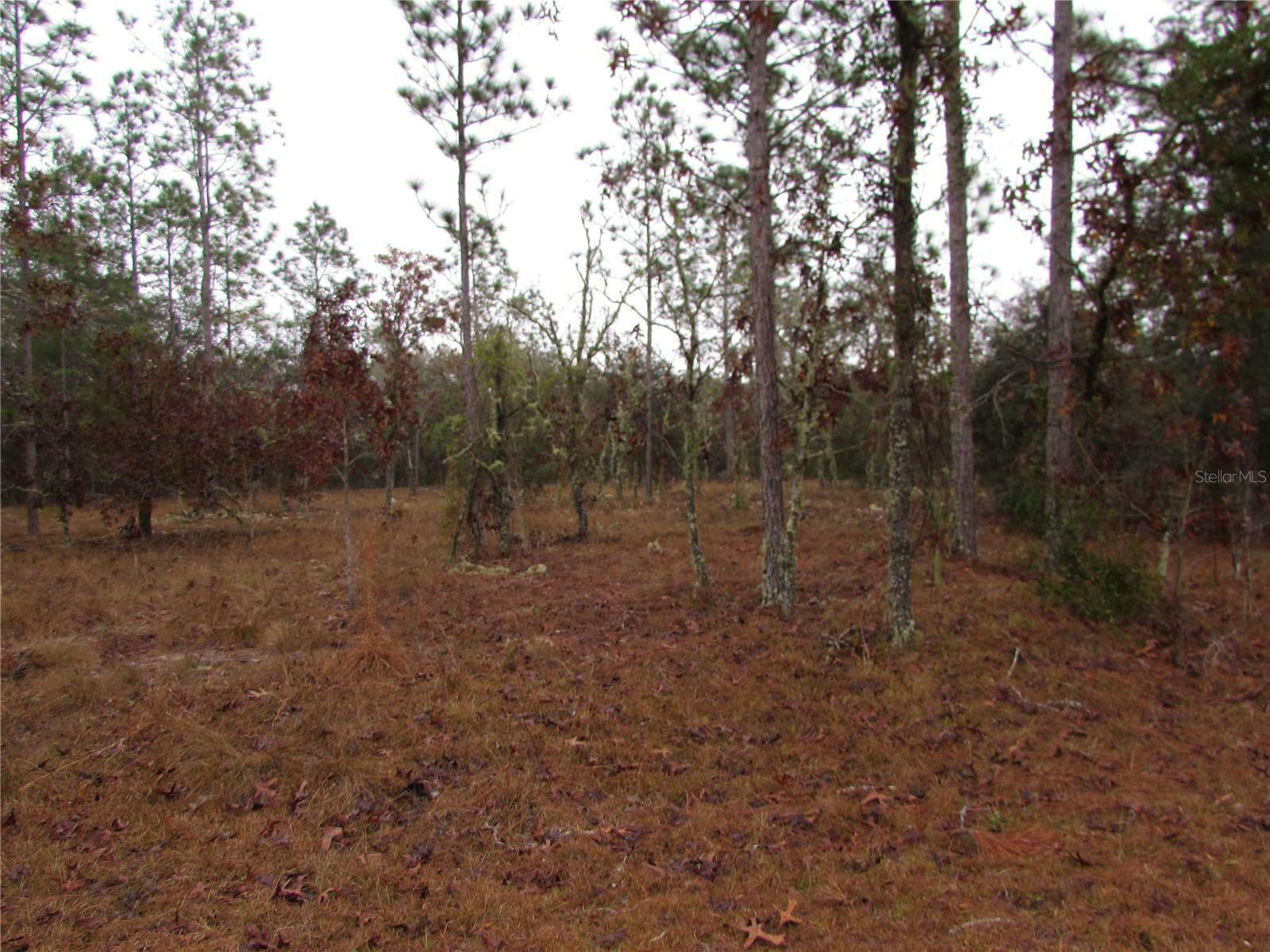 Property Photo:  Lot 57 SE 131 Terrace  FL 34431 