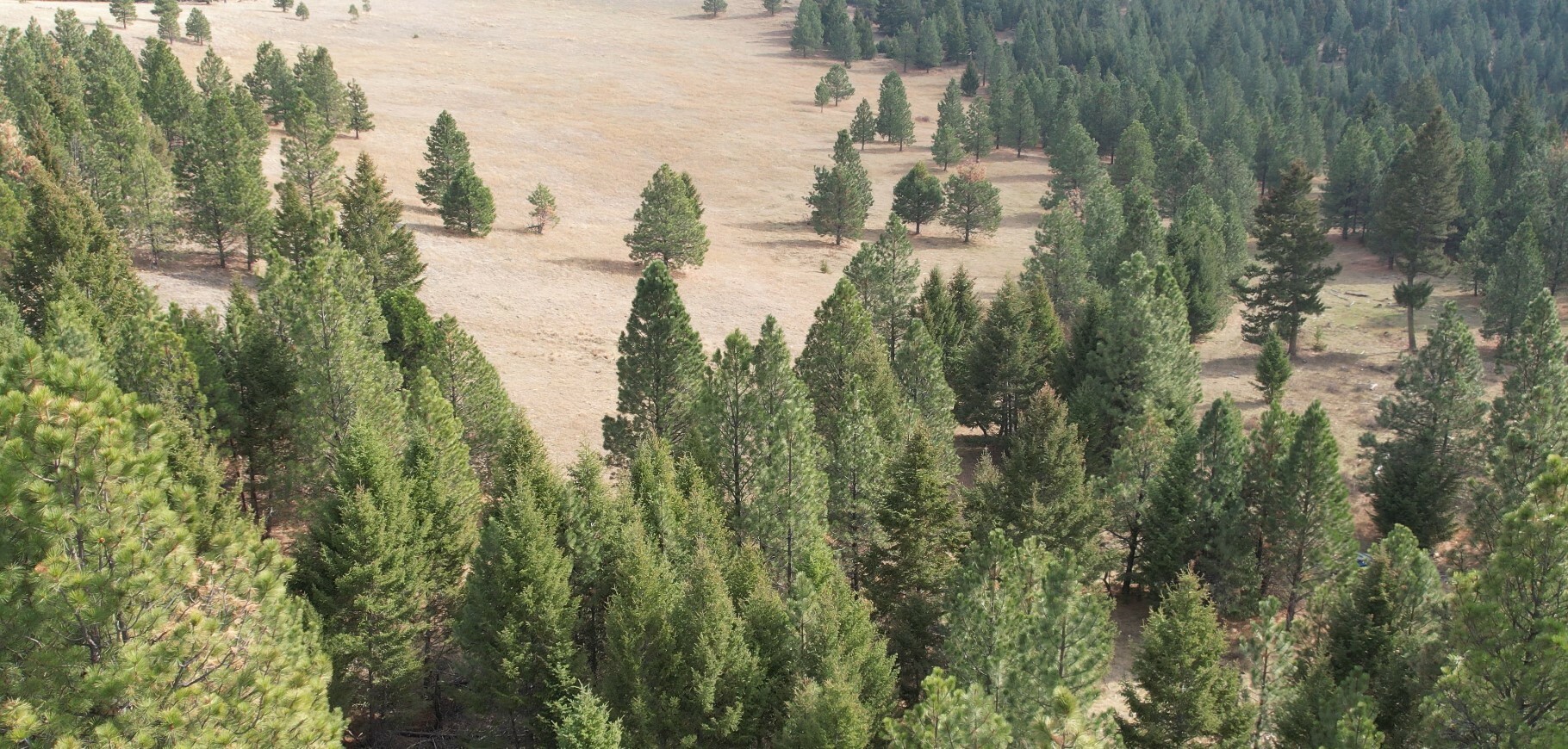 Property Photo:  6 Tract Bull Elk  MT 59832 