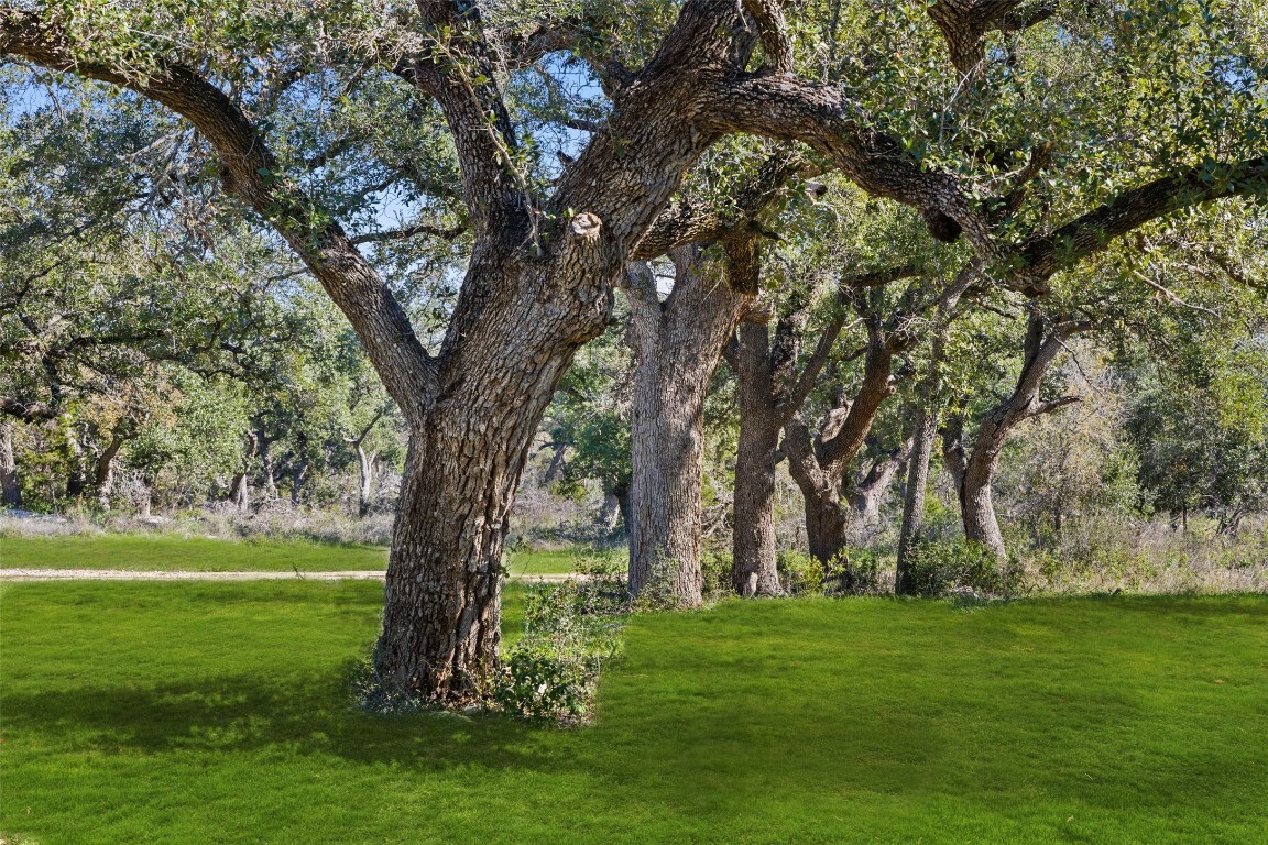 Property Photo:  7312 Ranch Road 12 Road  TX 78666 