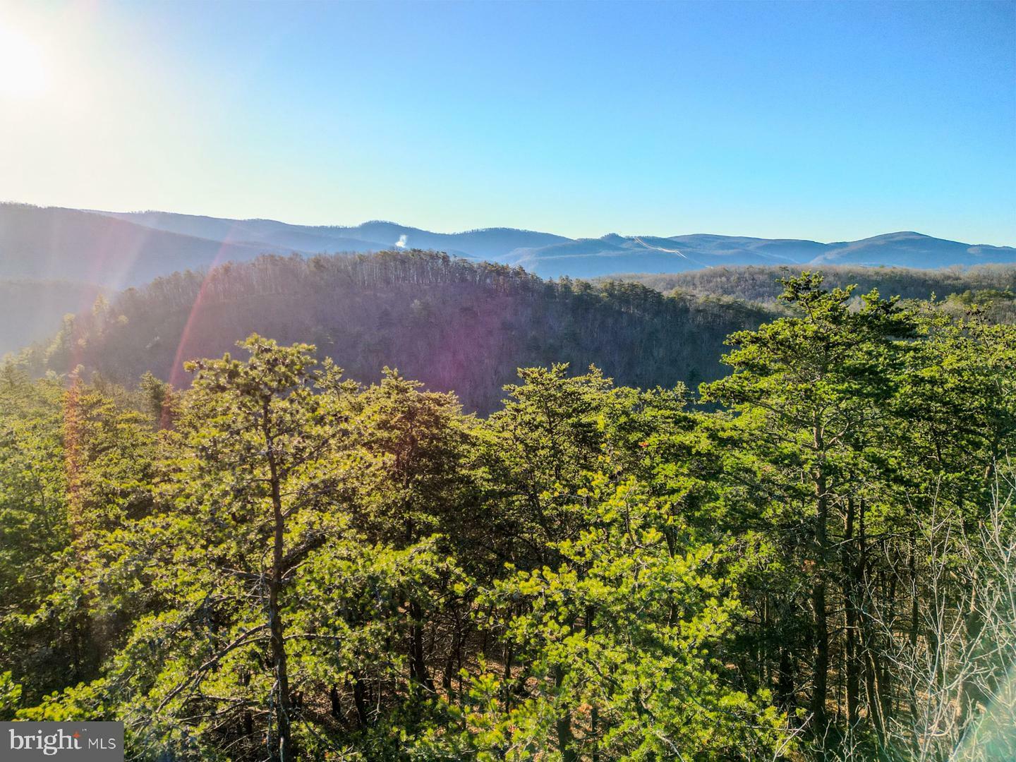 Property Photo:  77.45 Ac Mountain Cove  WV 26847 