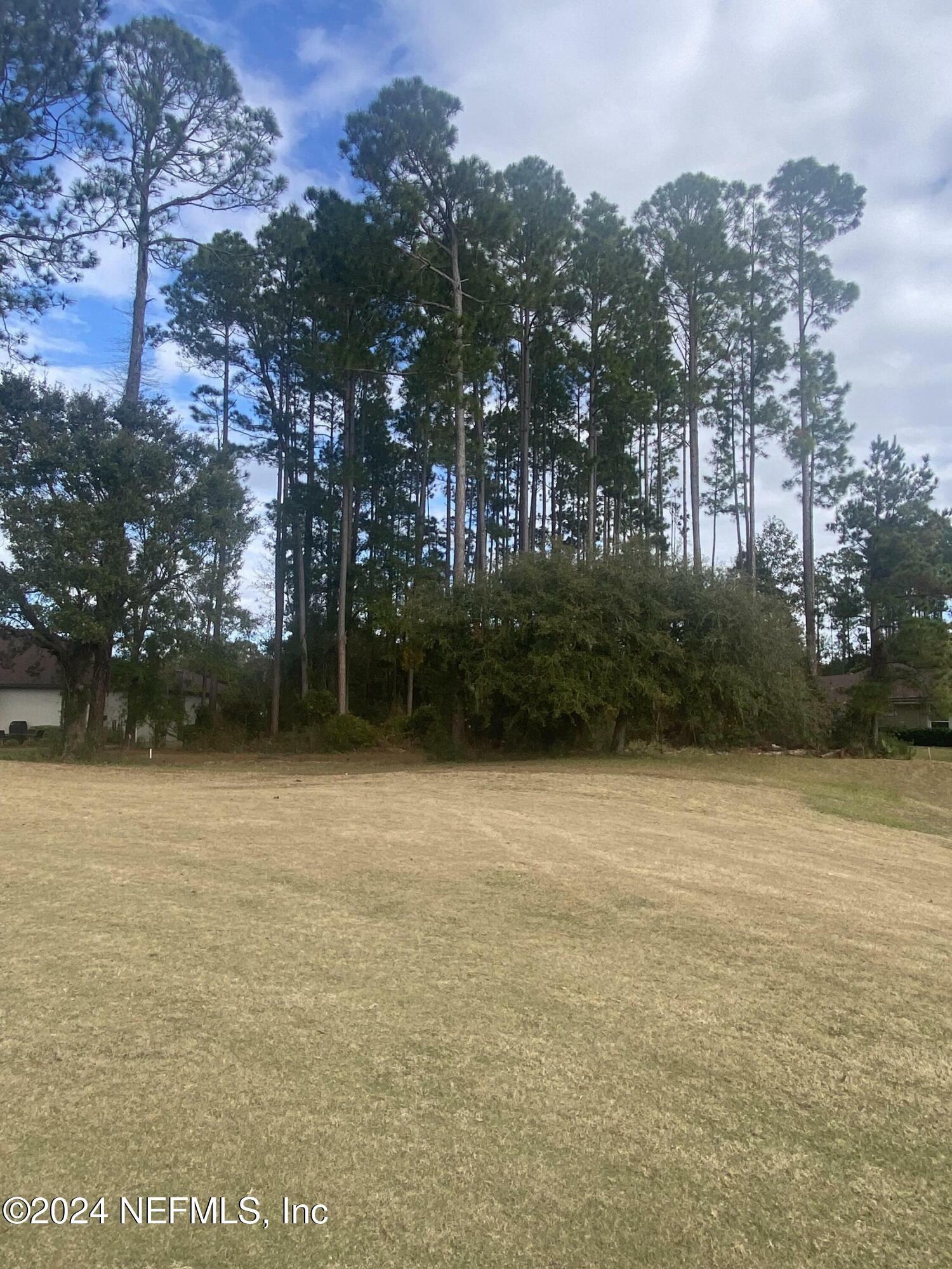 Property Photo:  85107 Napeague Drive  FL 32034 