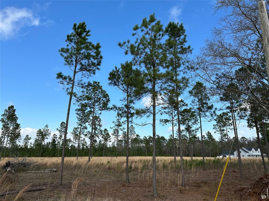 Property Photo:  15538 County Road 108  FL 32046 