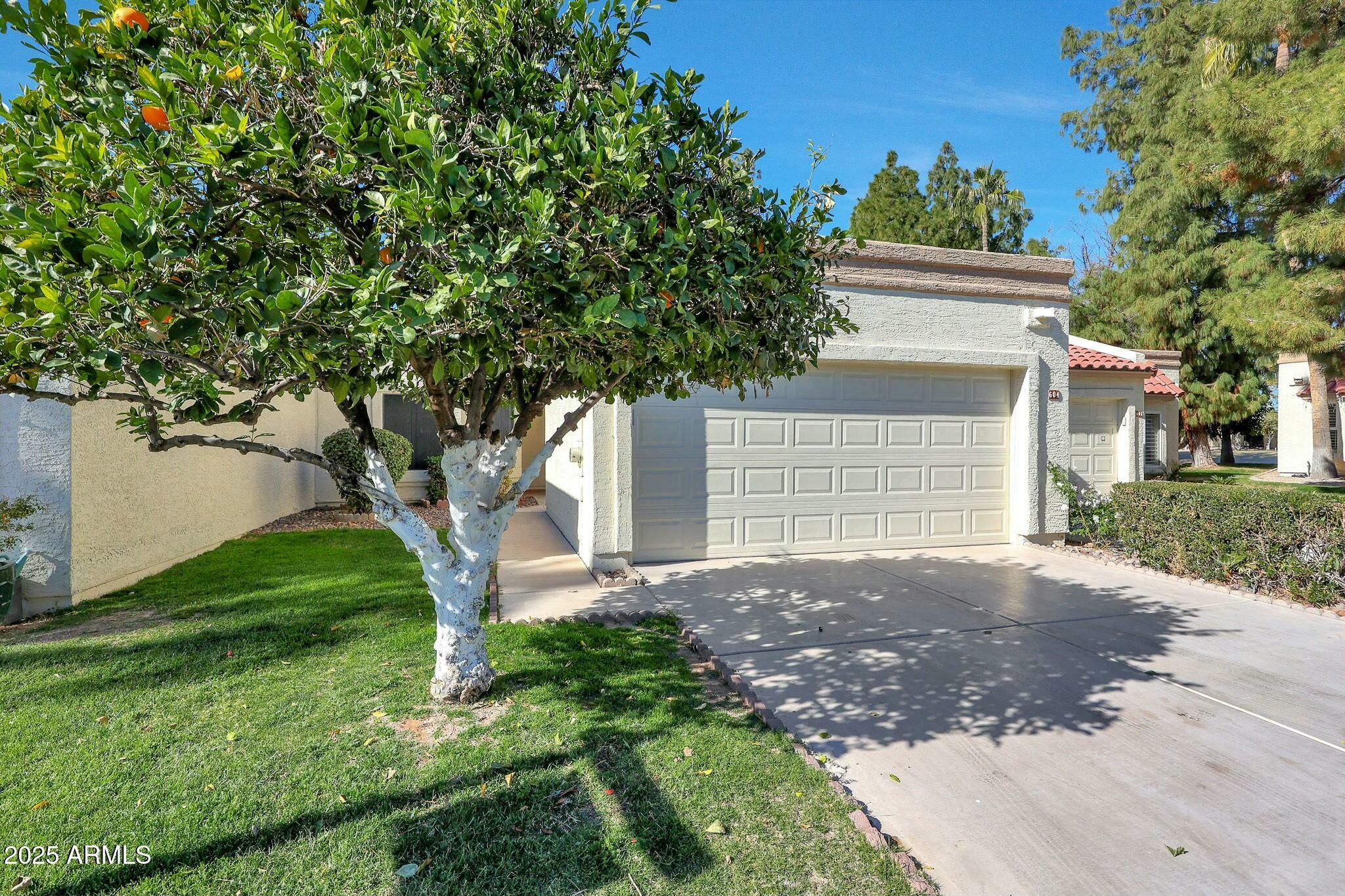 Property Photo:  604 S Palo Verde Way  AZ 85208 