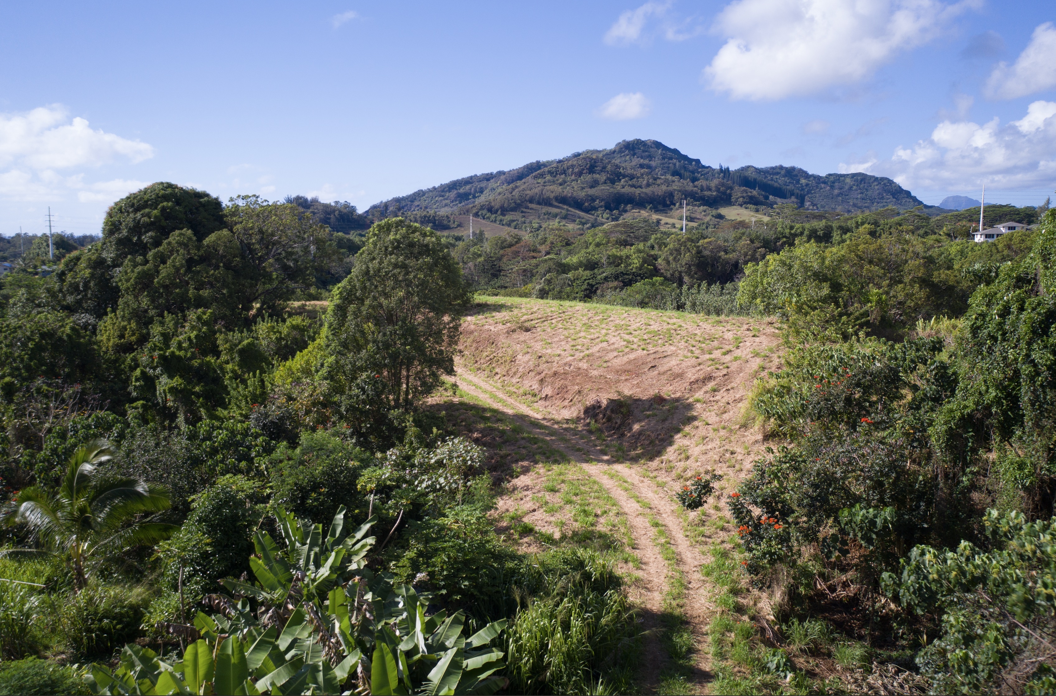 Property Photo:  Hauiki Rd  HI 96746 