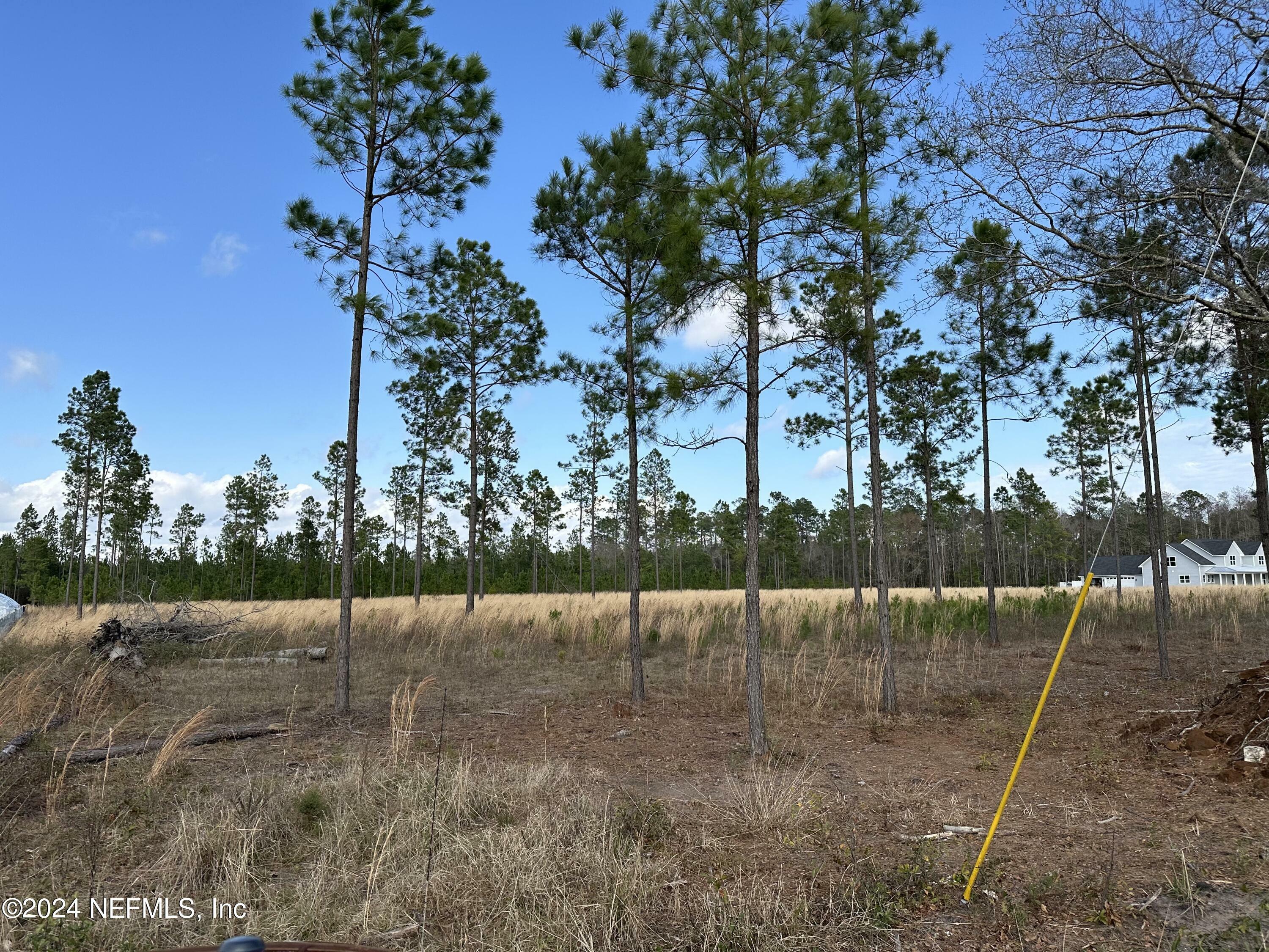 Property Photo:  15538 Co Rd 108  FL 32046 